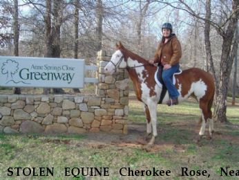 STOLEN EQUINE Cherokee Rose, Near Lake Wylie, SC, 29710